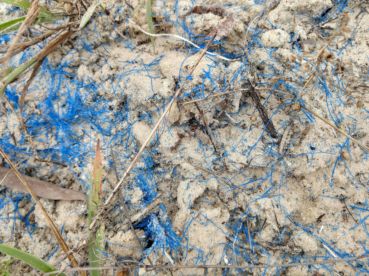 Plastic debris at Cape York